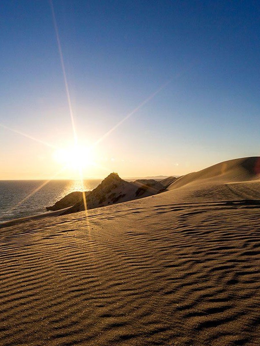 The sun setting over a dune in the Sonoran Desert